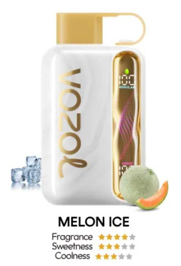 Melon ice