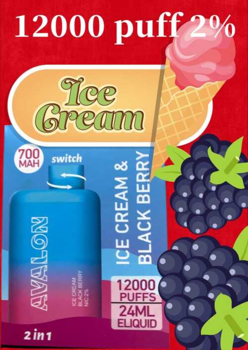 Ice cream & Black Berry