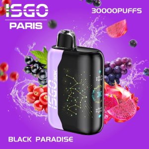 ISGO 30000 puff 5%