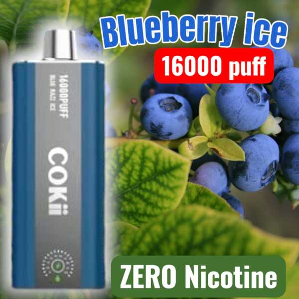 Blueberry ice - 16000 puff