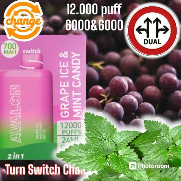 Grape Ice & Mint Candy