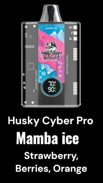 husky 12000 puff disposable vape in egypt