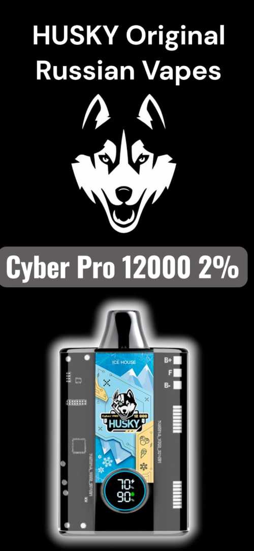 husky 12000 puff disposable vape in egypt